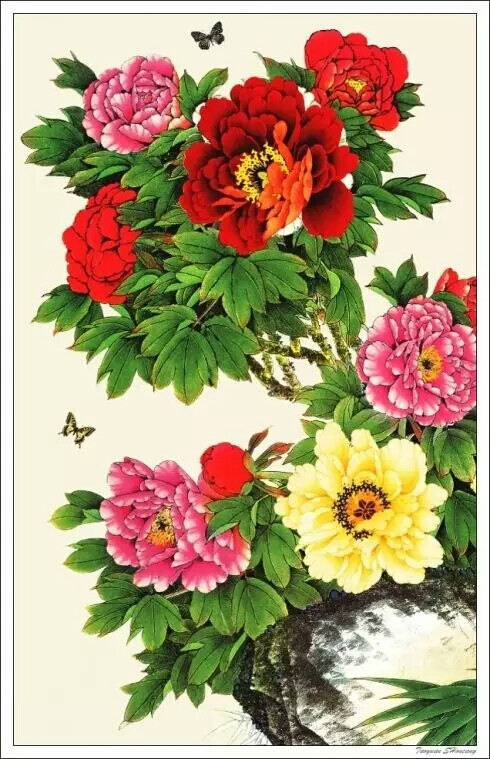 AFC脏队!悉尼球员在踢人 33岁的申花门将被人踩了两脚‘IM电竞官网’(图2) IM电竞平台