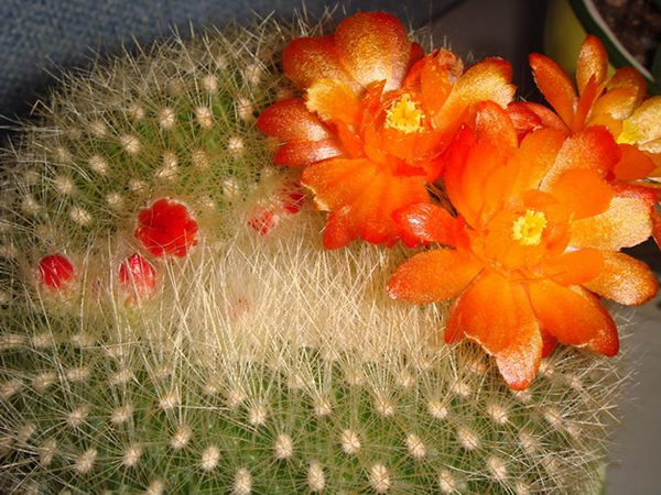 ‘IM电竞平台’生态环境部督导组赴汾渭平原指导调研重污染天气应对工作(图1) IM电竞平台