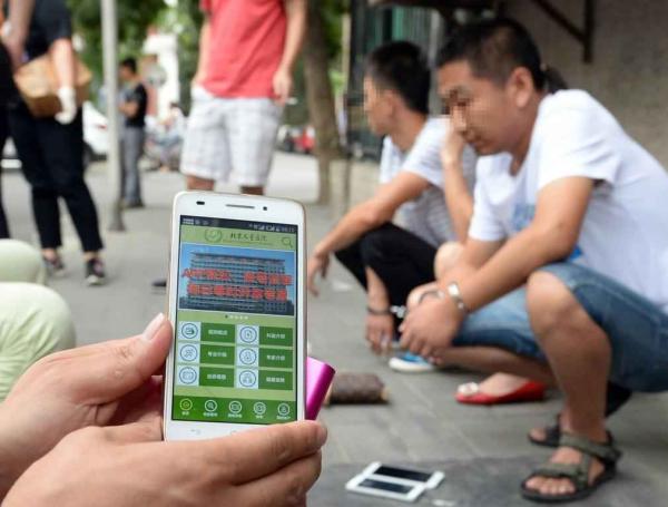 IM电竞官网-雏鹰农牧为生态猪澄清:未套取补贴(图1) IM电竞官网