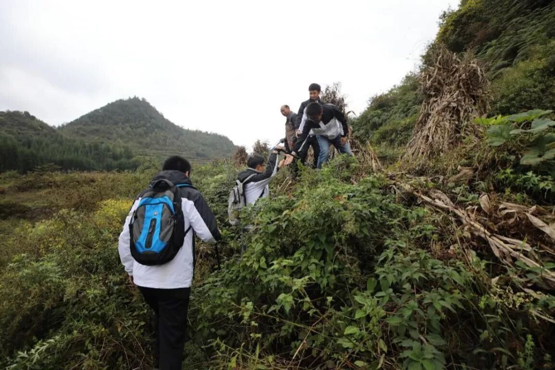 澳足总: 阿德莱德彗星战胜坎伯兰联 比分2:3-IM电竞官网(图1) IM电竞平台