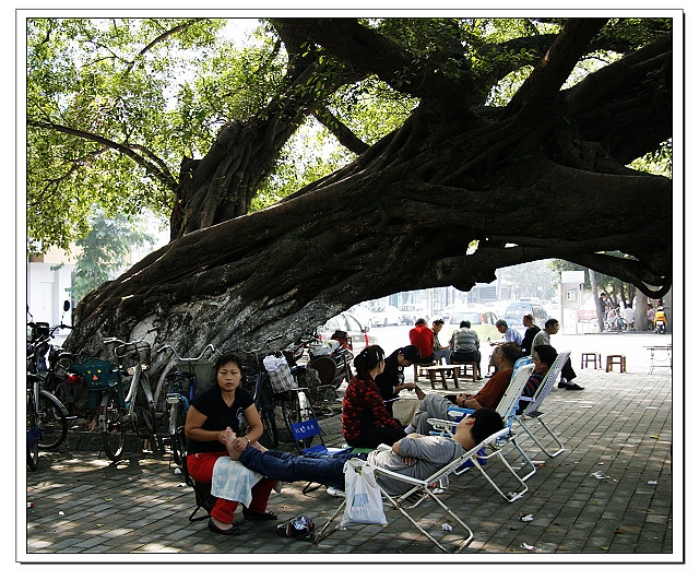 澳足总: 阿德莱德彗星战胜坎伯兰联 比分2:3-IM电竞官网(图4) IM电竞平台