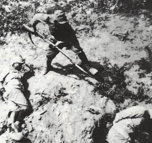 IM电竞平台:王金南:完善环保电价政策 打好污染防治攻坚战(图3) IM电竞官网