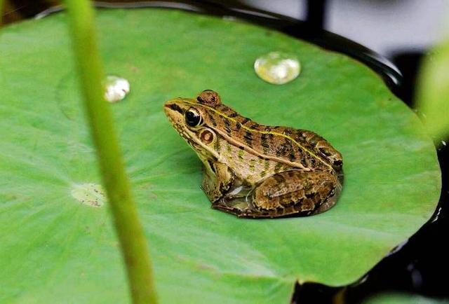 ‘IM电竞’
1岁宝宝不能喝纯牛奶?这些工具更不能吃!(图1) IM电竞官网