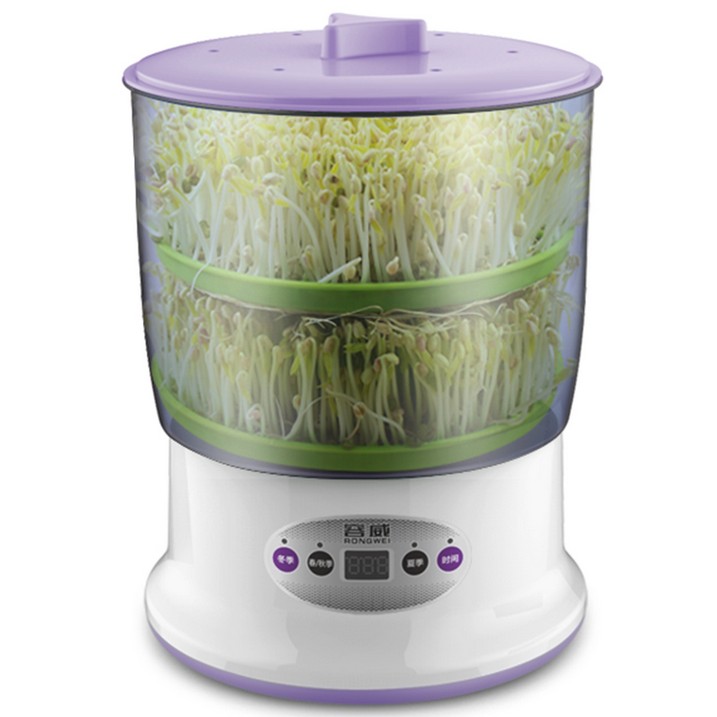 香蕉快要灭绝了?真相在这里_IM电竞(图1) IM电竞