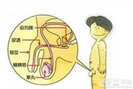 IM电竞平台|靓,波尔蒂首秀穿足球小将战靴(图1) IM电竞