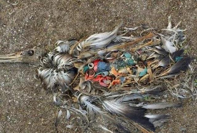 IM电竞官网:知足网世界杯1/8决赛最佳阵:巴黎三叉戟齐聚,米纳妖刀再现(图3) IM电竞平台