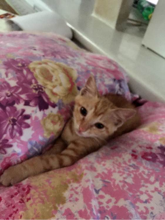 IM电竞官网:知足网世界杯1/8决赛最佳阵:巴黎三叉戟齐聚,米纳妖刀再现(图4) IM电竞平台