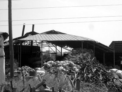 打造品味办公室 书法字画不行少-IM电竞平台(图1) IM电竞