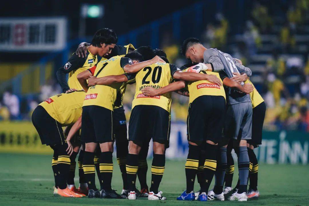 
波叔【IM电竞平台】(图11)