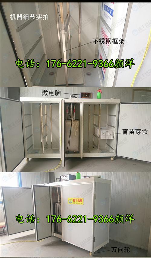 ‘IM电竞平台’欧国联打得火热,老爷爷看台上潜心读书(图1) IM电竞平台