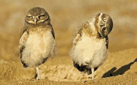 SUV天逸世界杯红黑榜:带刀后卫连场进球,莱万状态持续低迷‘IM电竞平台’(图4) IM电竞平台