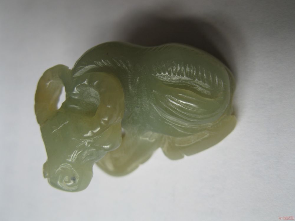 ‘IM电竞官网’太仓整治非法养殖场进展顺利,效果明显(图1) IM电竞平台