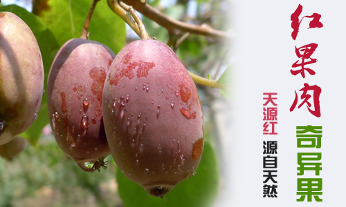 ‘IM电竞平台’克罗地亚战英格兰,恰克尔执法(图1) IM电竞官网