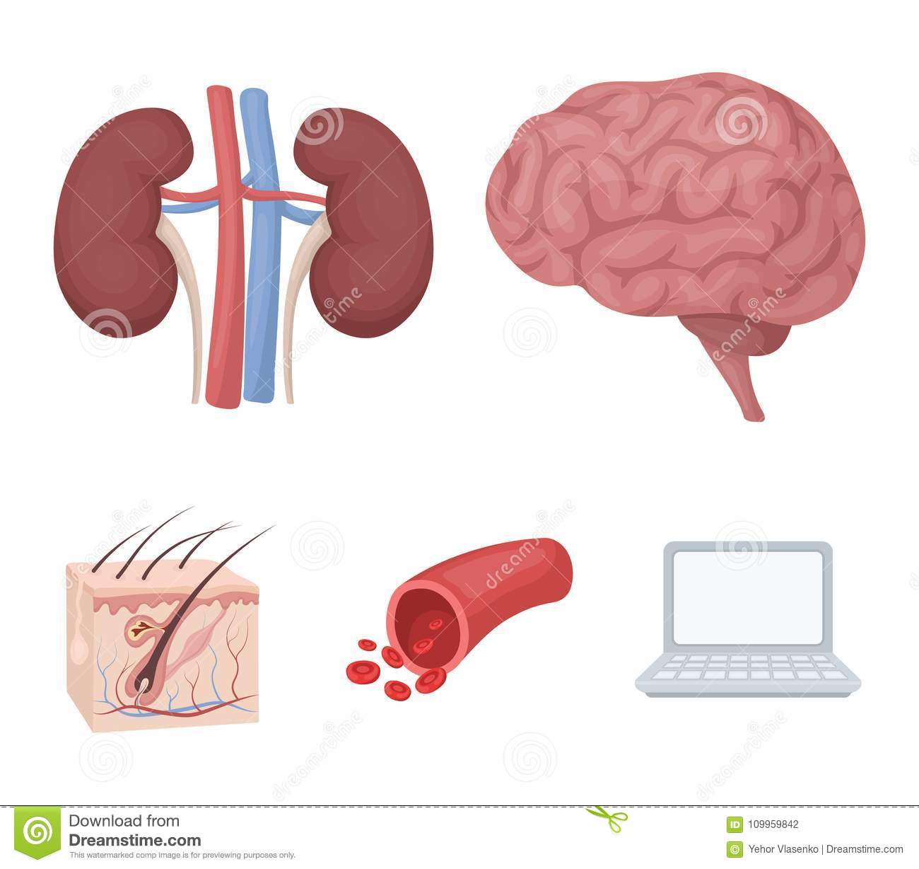 “IM电竞官网”我为球狂 | 亿万喝彩见证传奇之路,致前行者——CR7(图3) IM电竞