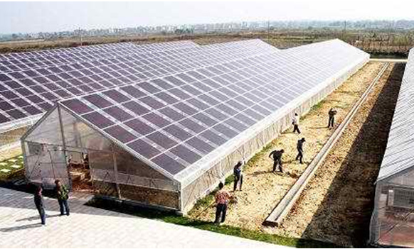 韩国企业为减塑生产可食用大米吸管 口感似锅巴“IM电竞官网”(图2) IM电竞官网