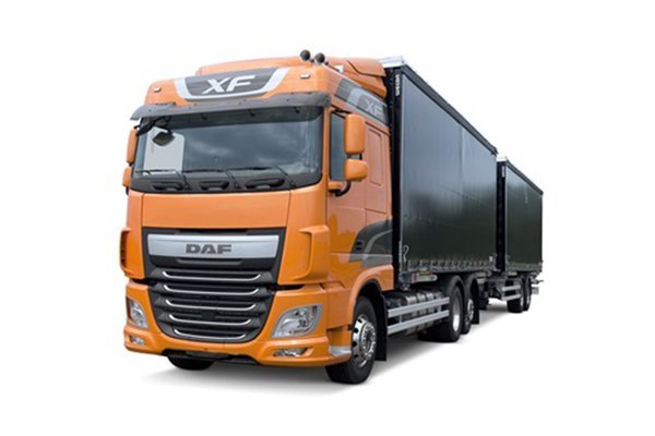 “IM电竞官网”蘑菇可以完全降解地球上的废塑料吗?(图2) IM电竞官网