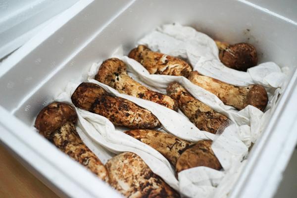 ‘IM电竞平台’阿迪易位!奥兰多海盗2017/18赛季球衣发布!(图3) IM电竞平台