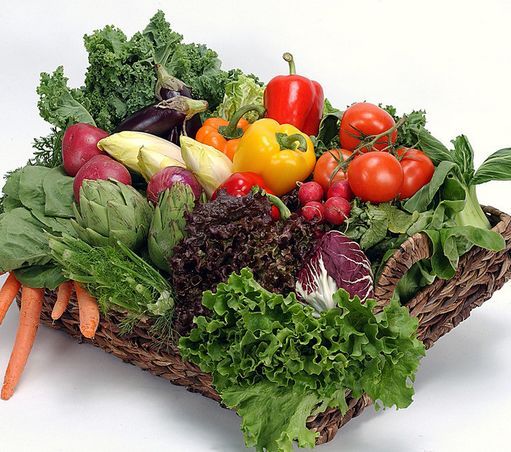 智利杯: 蒙特港 VS U康塞普森再现小球 比分0:1“IM电竞平台”(图2) IM电竞官网