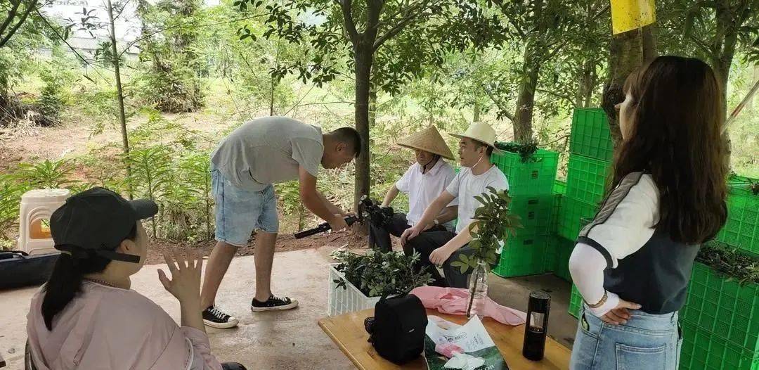 ‘IM电竞’
解码洪雅藤椒的秘密丨北京电视台《解码中华地标》栏目组来洪拍摄(图4) ‘IM电竞’
解码洪雅藤椒的秘密丨北京电视台《解码中华地标》栏目组来洪拍摄(图4)