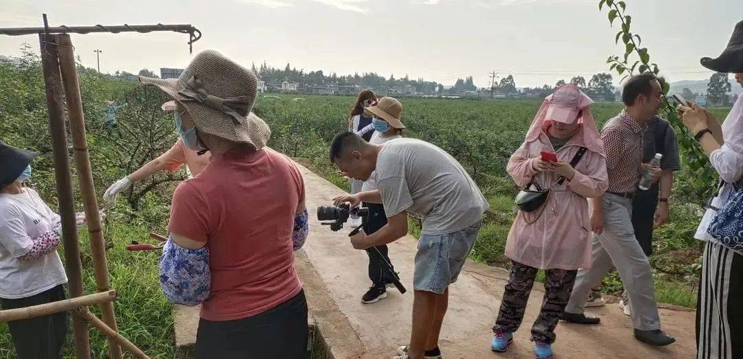 ‘IM电竞’
解码洪雅藤椒的秘密丨北京电视台《解码中华地标》栏目组来洪拍摄(图5) ‘IM电竞’
解码洪雅藤椒的秘密丨北京电视台《解码中华地标》栏目组来洪拍摄(图5)