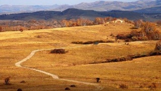 ‘IM电竞’从国家战略来看畜牧业产能过剩如何解决(图3) IM电竞